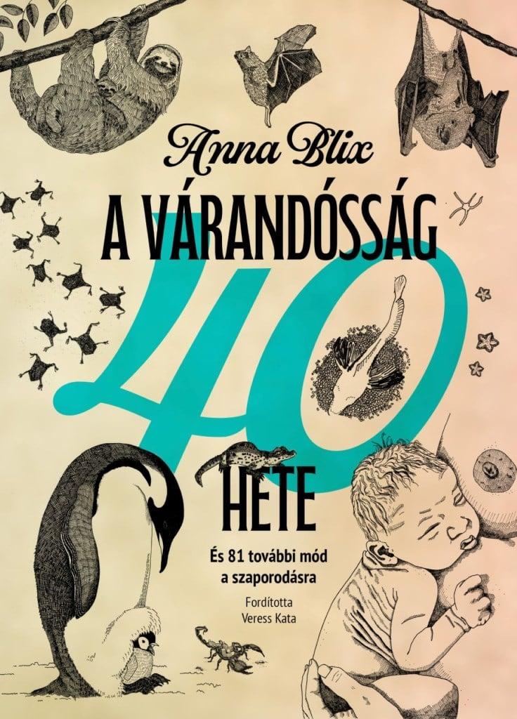 A várandósság 40 hete