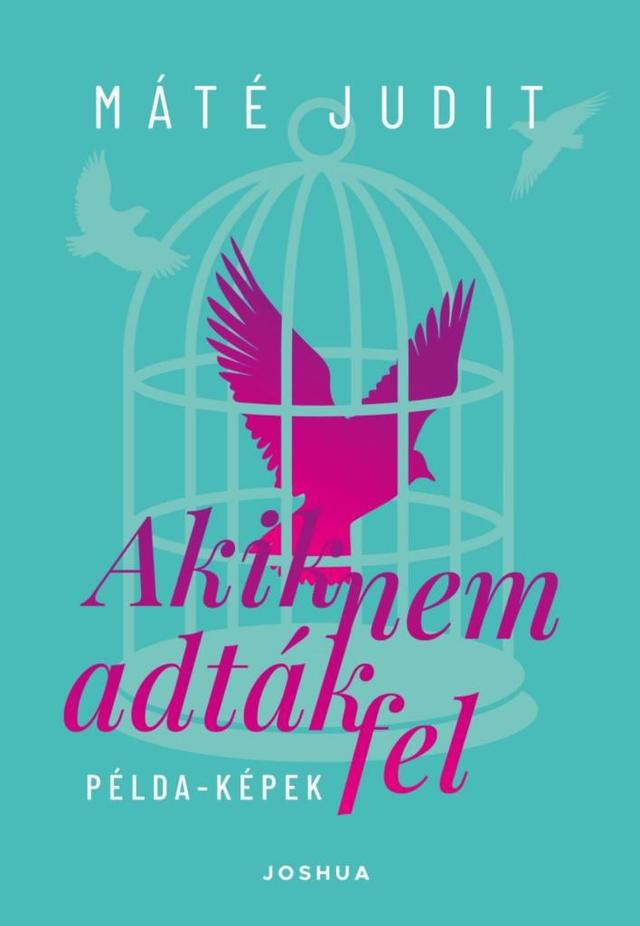 Akik nem adták fel - Példa-képek