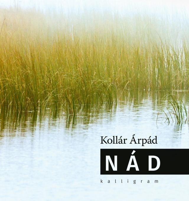 Nád