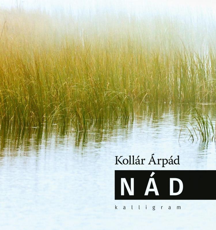 Nád