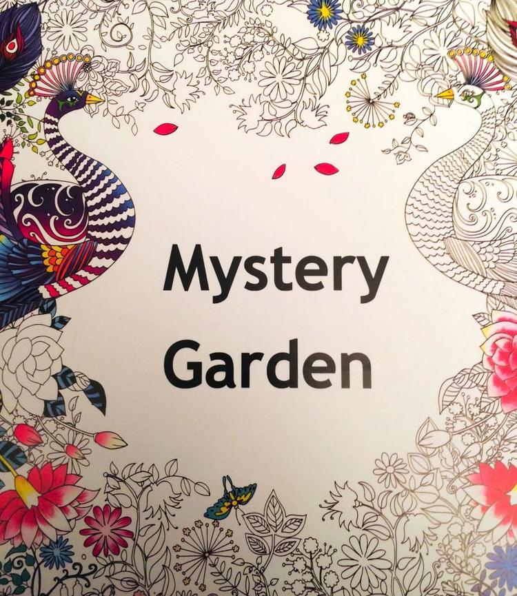 Mystery Garden