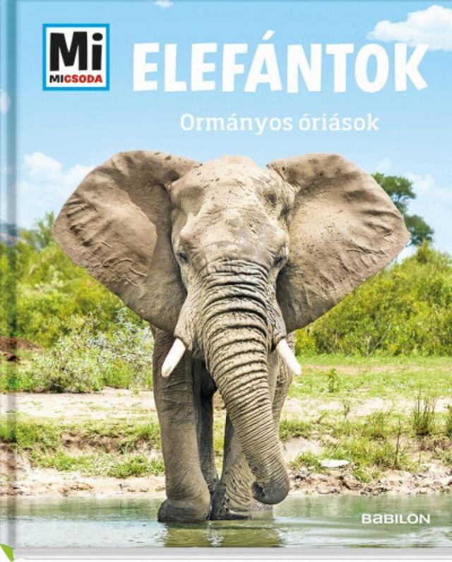 Elefántok: Ormányos óriások - Mi Micsoda