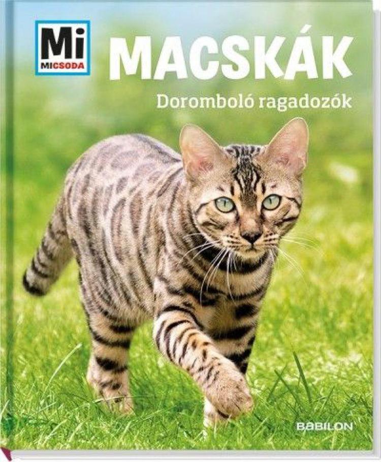 Macskák: Doromboló ragadozók - Mi Micsoda