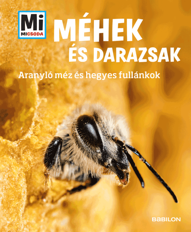 Méhek és Darazsak: Aranyló méz és hegyes fullánkok - Mi Micsoda